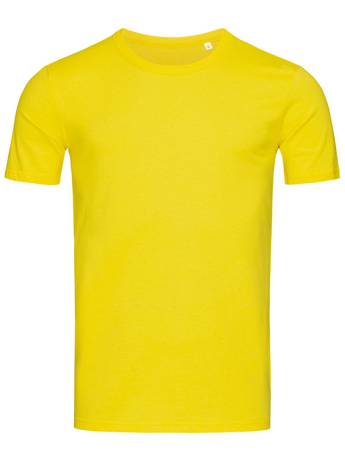 daisy yellow